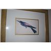 Image 2 : FRAMED BIRD PRINTS (23 3/4" X 19 3/4") (2 PCS)