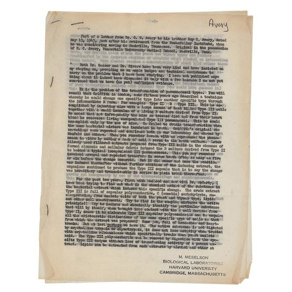 Oswald Avery Typed Letter Extract