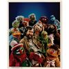 Image 1 : Jim Henson Signed Photograph