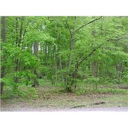LOT 46C FIRELAKE DRIVE, FIRELAKE SUBDIVISION, MANCHESTER, TN