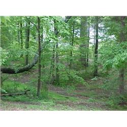 LOT 46D FIRELAKE DRIVE, FIRELAKE SUBDIVISION, MANCHESTER, TN