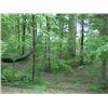 Image 1 : LOT 46D FIRELAKE DRIVE, FIRELAKE SUBDIVISION, MANCHESTER, TN