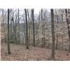 Image 1 : LOT 47, FIRELAKE DRIVE, FIRELAKE SUBDIVISON, MANCHESTER, TN