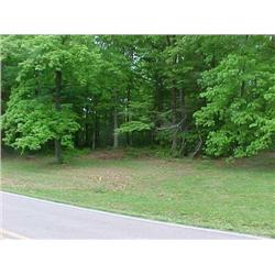LOT 31, MT. VIEW ROAD, FIRELAKE SUBDIVISON, MANCHESTER, TN