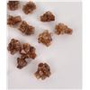 Image 3 : Aragonite Flower Clusters