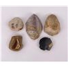 Image 2 : Flint Thumbnail Scrapers Indian Artifacts