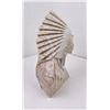 Image 2 : Large Soapstone Carved Native American Indian