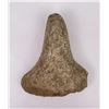 Image 1 : Columbia River Stone Axe Tool Artifact