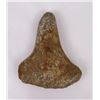 Image 2 : Columbia River Stone Axe Tool Artifact