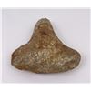 Image 3 : Columbia River Stone Axe Tool Artifact