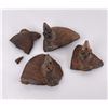 Image 1 : Pre Columbian Pottery Shards