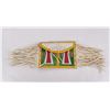 Nancy J Johnson Choctaw Parfleche Painted Envelope