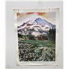Image 1 : Avalanche Lillies Rainer Beer Poster