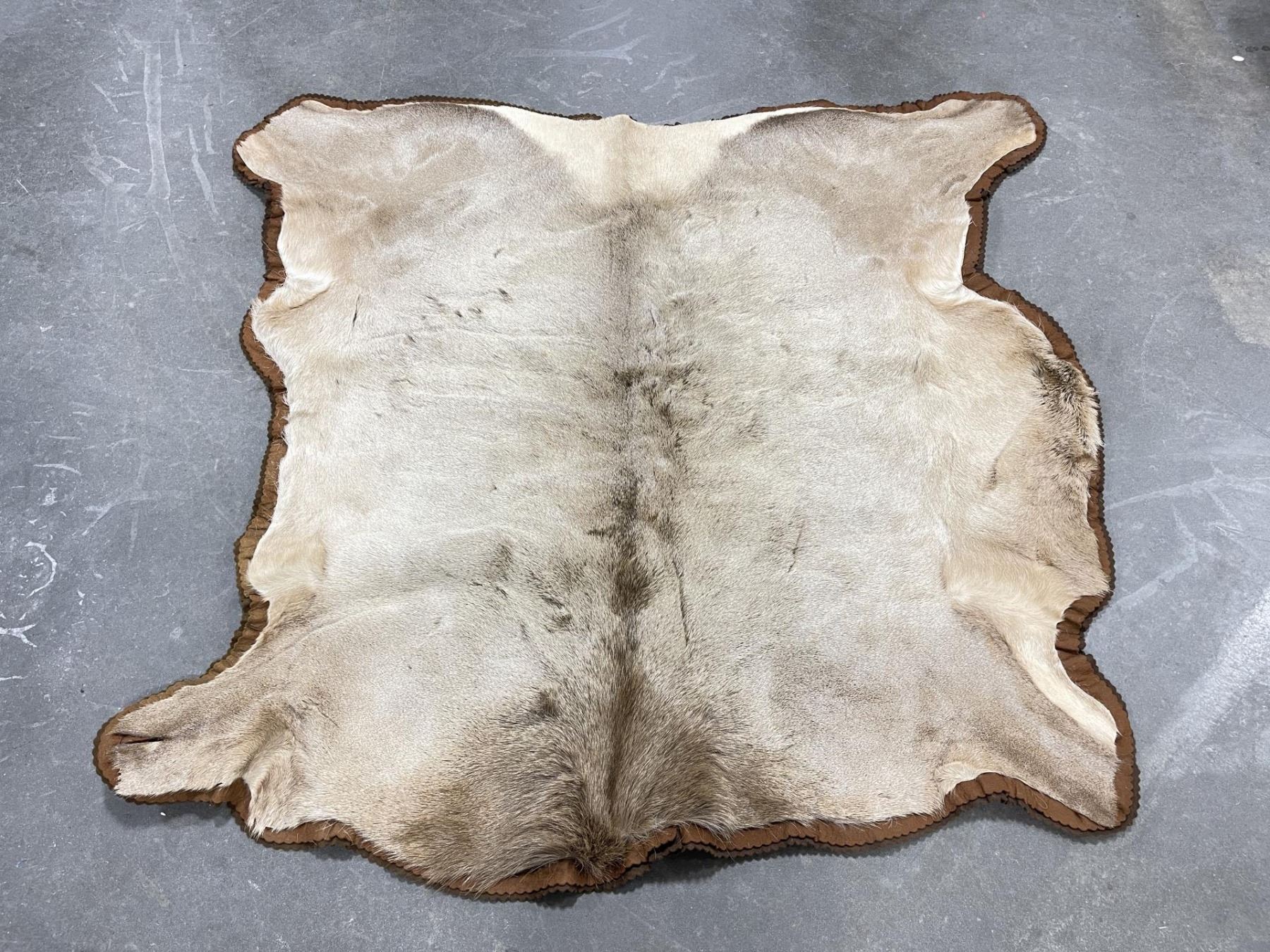 Montana Taxidermy Tanned Elk Hide Rug