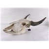 Image 1 : Nice Large Montana Buffalo Skull