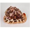 Image 1 : Cypraecassis Rufa Bulmouth Conch Seashell