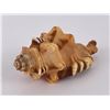 Image 1 : Ganesh Shankh Seashell