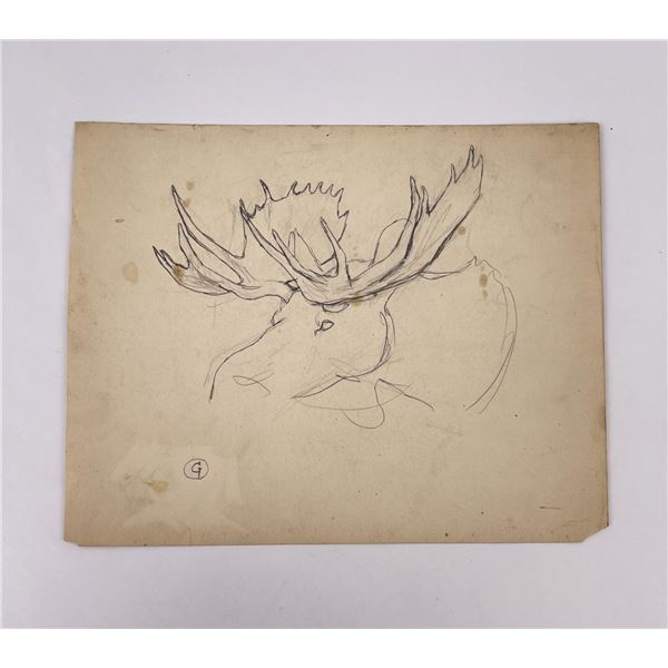 Philip Russell Goodwin Bull Moose Pencil Drawing