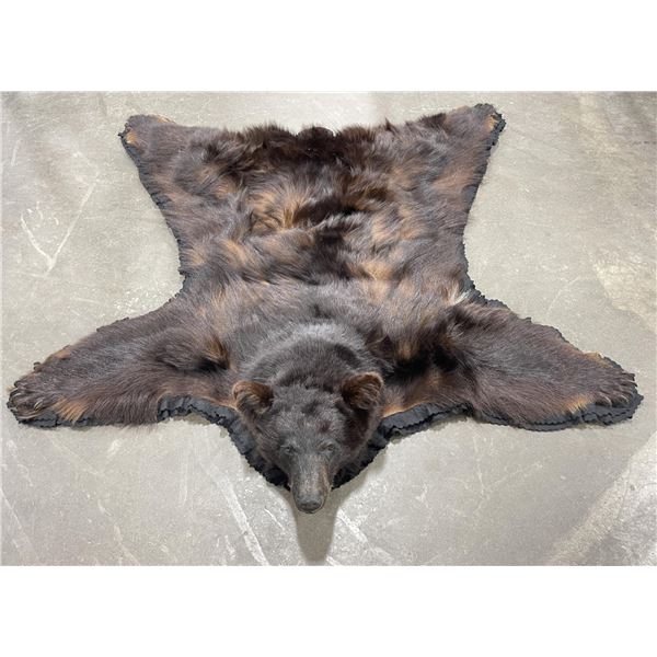 Large Montana Taxidermy Black Bear Rug