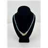 Image 1 : Southwest Turquoise Howlite Heishi Necklace