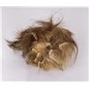 Image 2 : Taxidermy Male Chacma Baboon Ass Mount