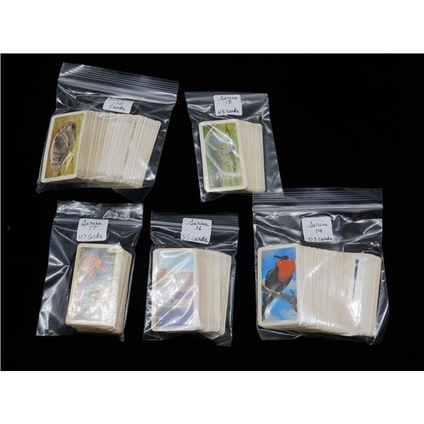 Lot of 360 Red Rose Tea Cards