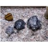 Image 2 : Lot of 4 Quartz Domino Set and Stone Elephants, Turtle Sculptures