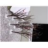 Image 2 : Lot of 2 Department 56 Bare Branch Trees Set of 6 and Royal Coach Heritage Village Collection