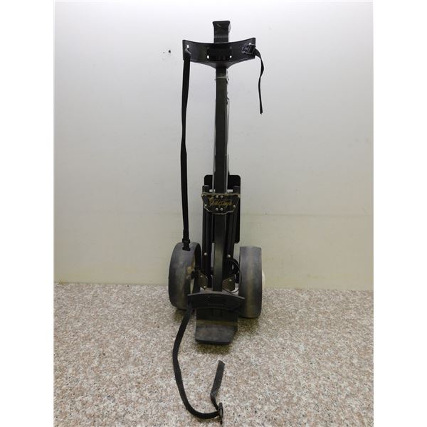 Gold Eagle Golf Club Caddy