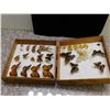 Image 1 : Butterfly Specimen Box with 26 Specimens Inside Monarch, Moths, Etc