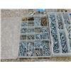 Image 3 : Lot of 3 Plastic Organizer Trays FULL of Screws Mostly Robertson Square Head some Phillips