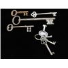 Image 1 : Skeleton Keys