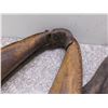 Image 3 : Lot of 2 Horse Yokes