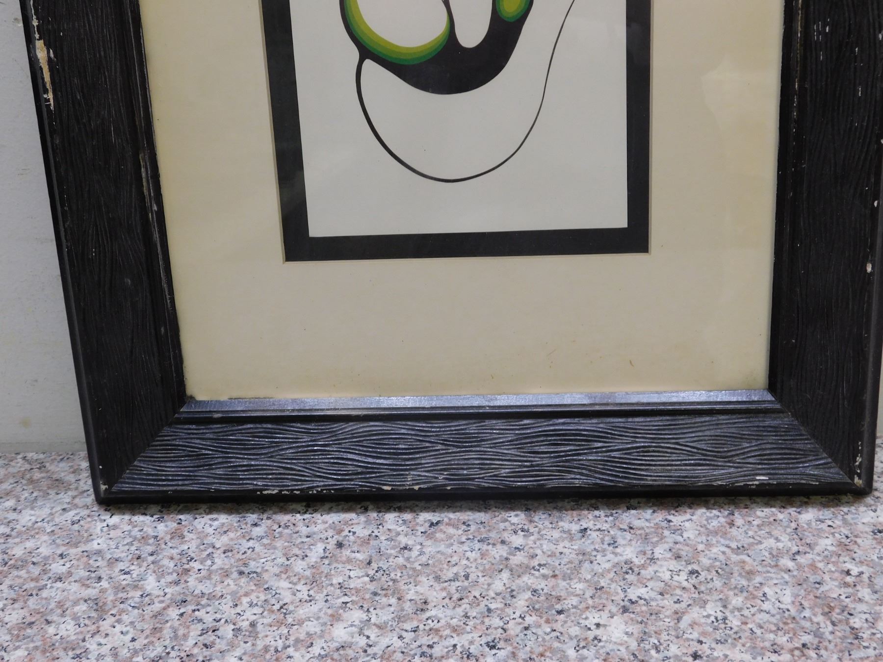 Framed Aboriginal Artwork Green Bird Inuit Abstract 15