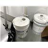 Image 1 : 2 X 20L PAILS. PACE CHEMICALS STRIP-IT GREENHOUSE CLEANER,