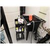 Image 1 : LAUNDRY SINK, ROLLING CART AND EMPTY PLASTIC JUGS