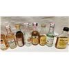 Image 2 : Lot of 14 Mini Bottles containing Various Rums and 7 Empty Mini Bottles