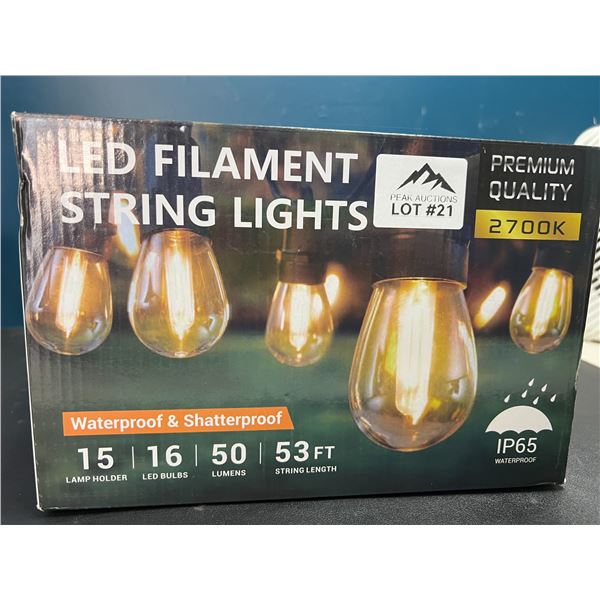 Lot of 1 LED Outdoor String Lights (Edison Style Bulbs) - 53 FT Length