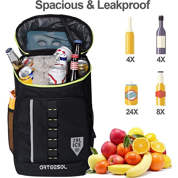 Lot of 1 28L Insulated Cooler Bag