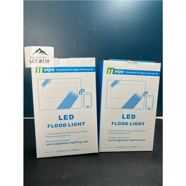 Lot of 2 LED Flood Lights