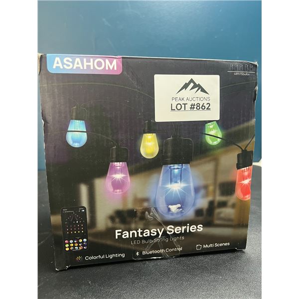 Lot of 1 Asahom Fantasy Series LED Bulb String Lights - 48FT Length