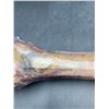 Image 4 : Beef Foreshank Bone Dog Treat
