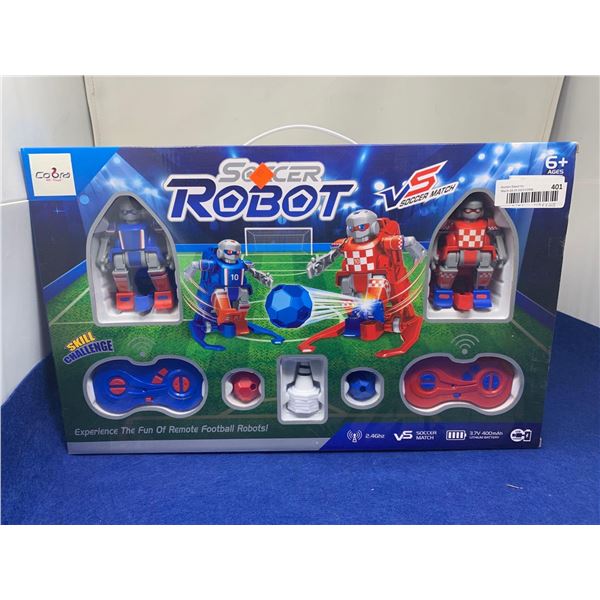 Soccer Robot Soccer Match