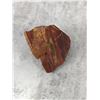 Image 2 : Petrified Wood - Set of 2