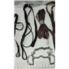 Image 3 : Leather halter, horse bits and other horse items