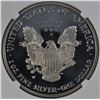 Image 3 : 2006-W AMERICAN SILVER EAGLE NGC PF69