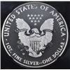 Image 3 : 2013 AMER SILVER EAGLE NGC SP70