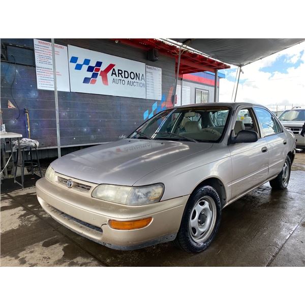 1996 TOYOTA COROLLA