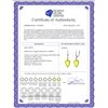 Image 2 : Genuine 18 ctw Quartz Lemon Earrings 14KT White Gold - REF-30M3T