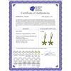 Image 2 : Genuine 2.8 ctw Peridot Earrings 14KT White Gold - REF-46K7V